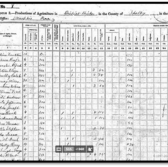 Emancipation on Memphis’s President’s Island